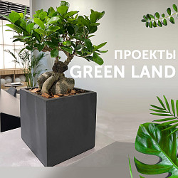 Рубрика <Новые проекты GREEN LAND>